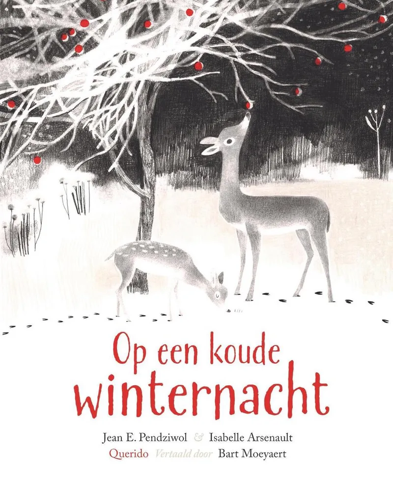 Op een koude winternacht fra Querido – billede af bogen