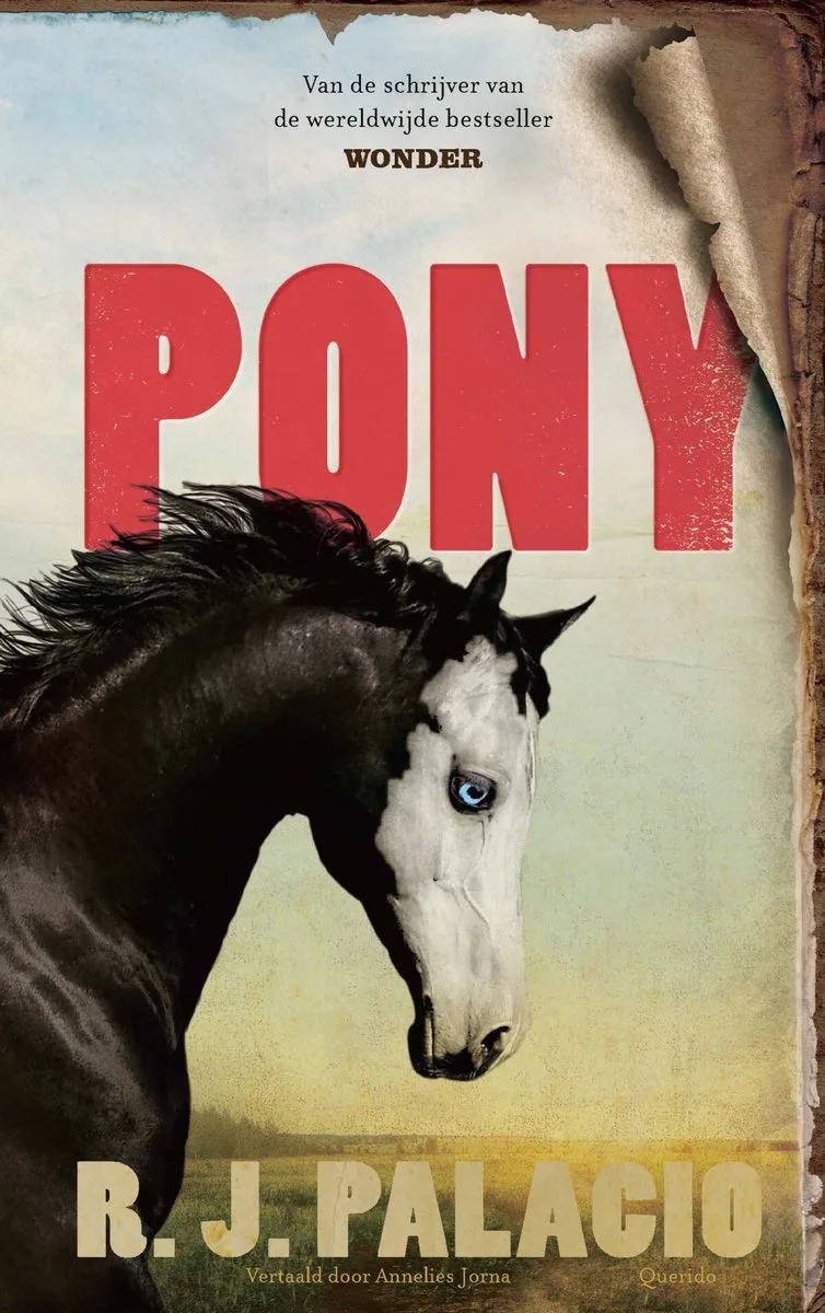 Pony van Querido – boekfoto