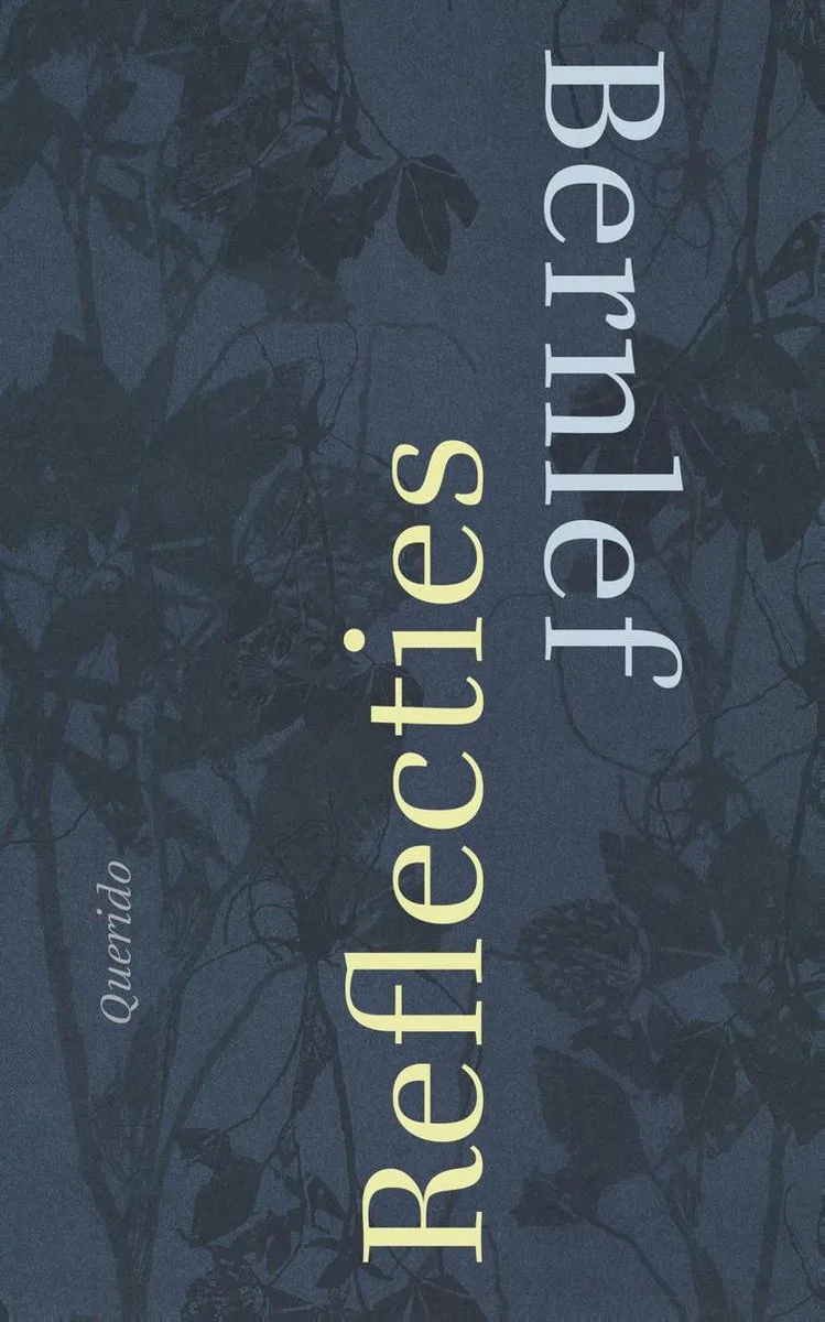Reflecties von Querido – Buchfoto