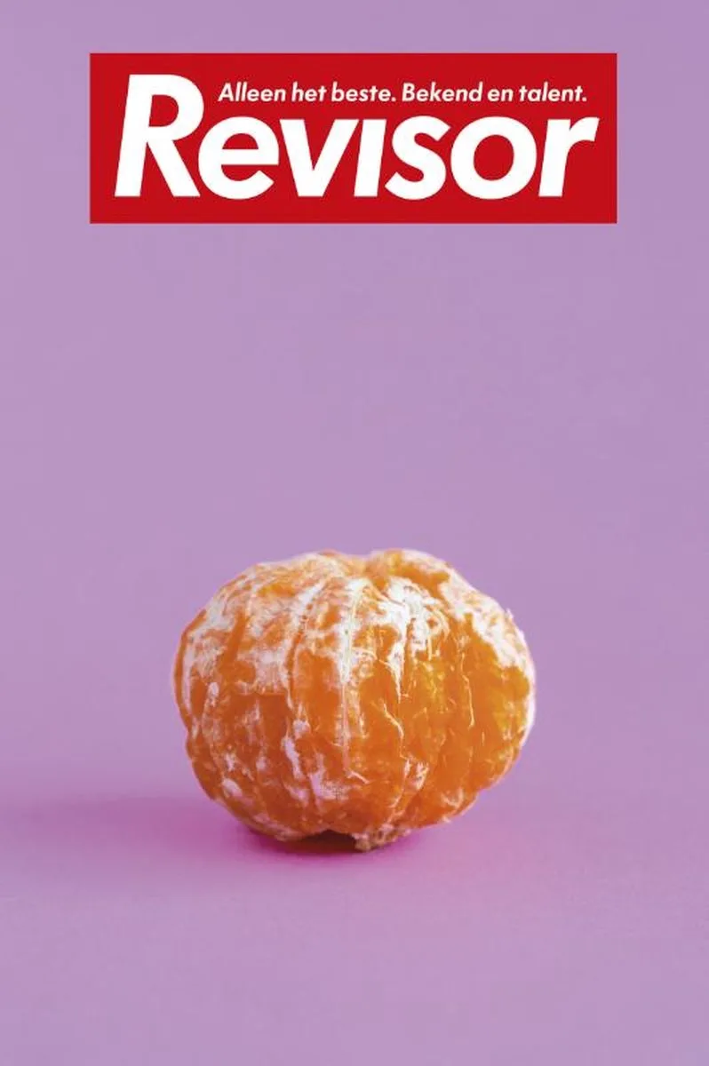 Revisor 14 fra Querido – billede af bogen