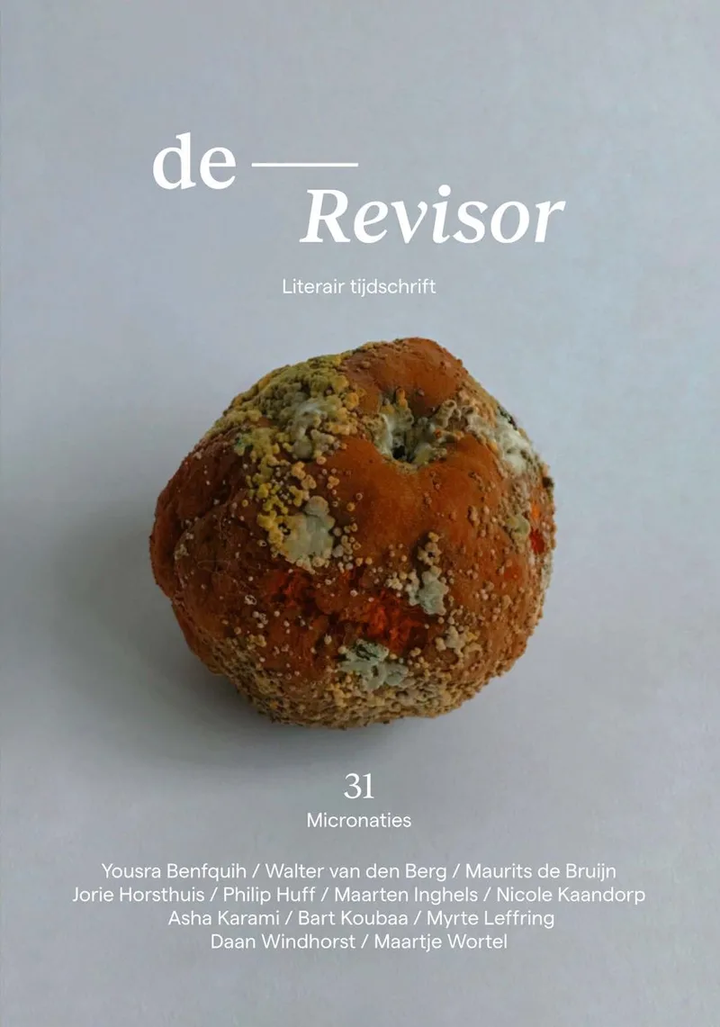 Revisor 31 van Querido – boekfoto