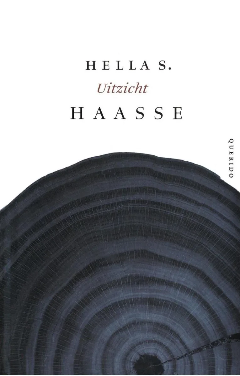 Uitzicht fra Querido – billede af bogen