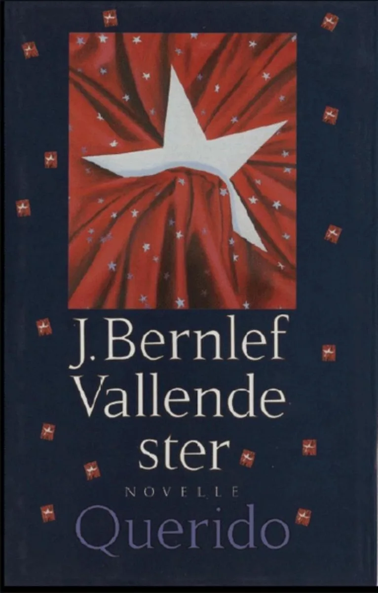 Vallende ster by Querido – book photo