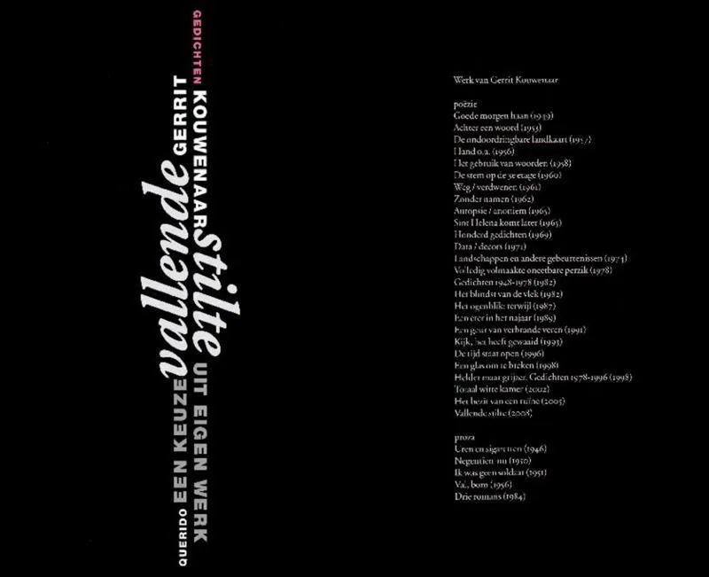 Vallende stilte de Querido – photo du livre