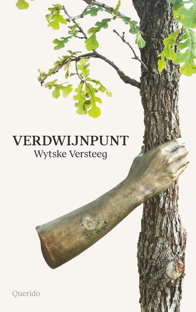Verdwijnpunt von Querido – Buchfoto