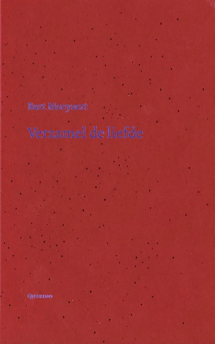 Verzamel de liefde von Querido – Buchfoto