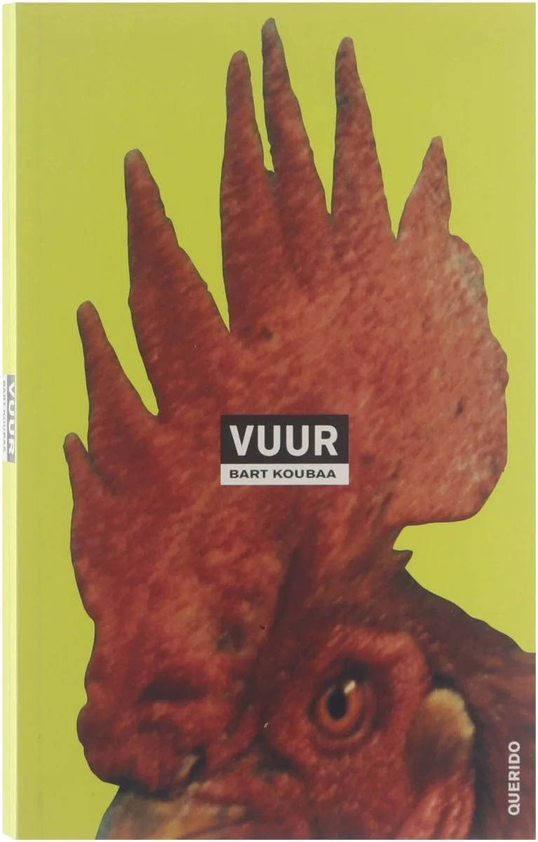 Vuur van Querido – boekfoto
