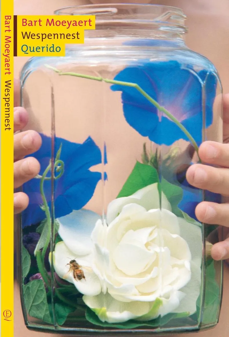 Wespennest von Querido – Buchfoto