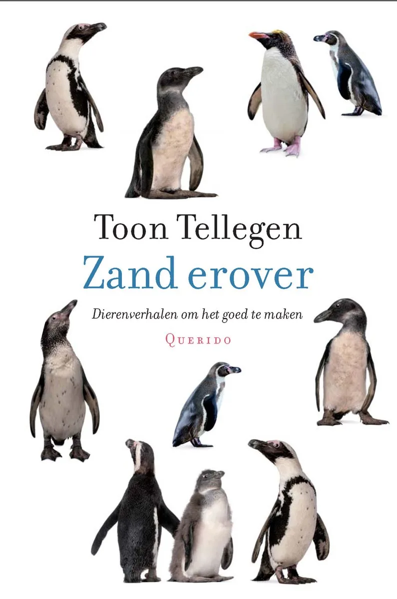 Zand erover van Querido – boekfoto