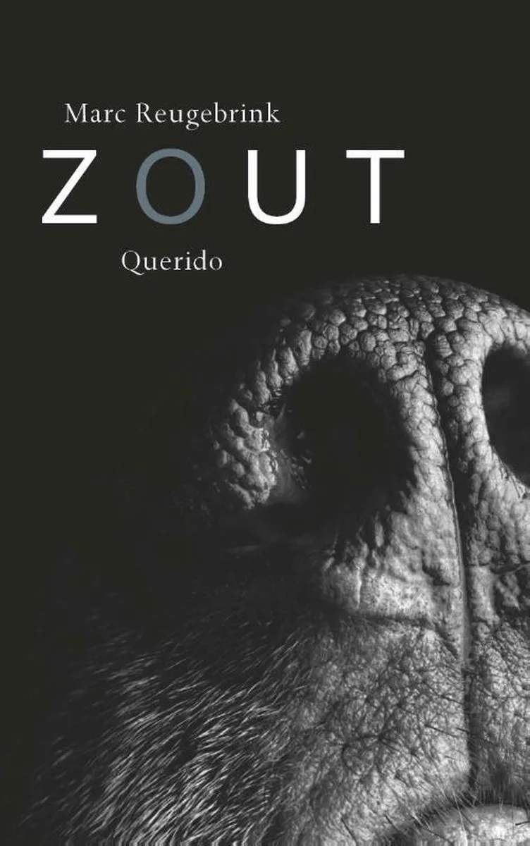 Zout från Querido – bokbild
