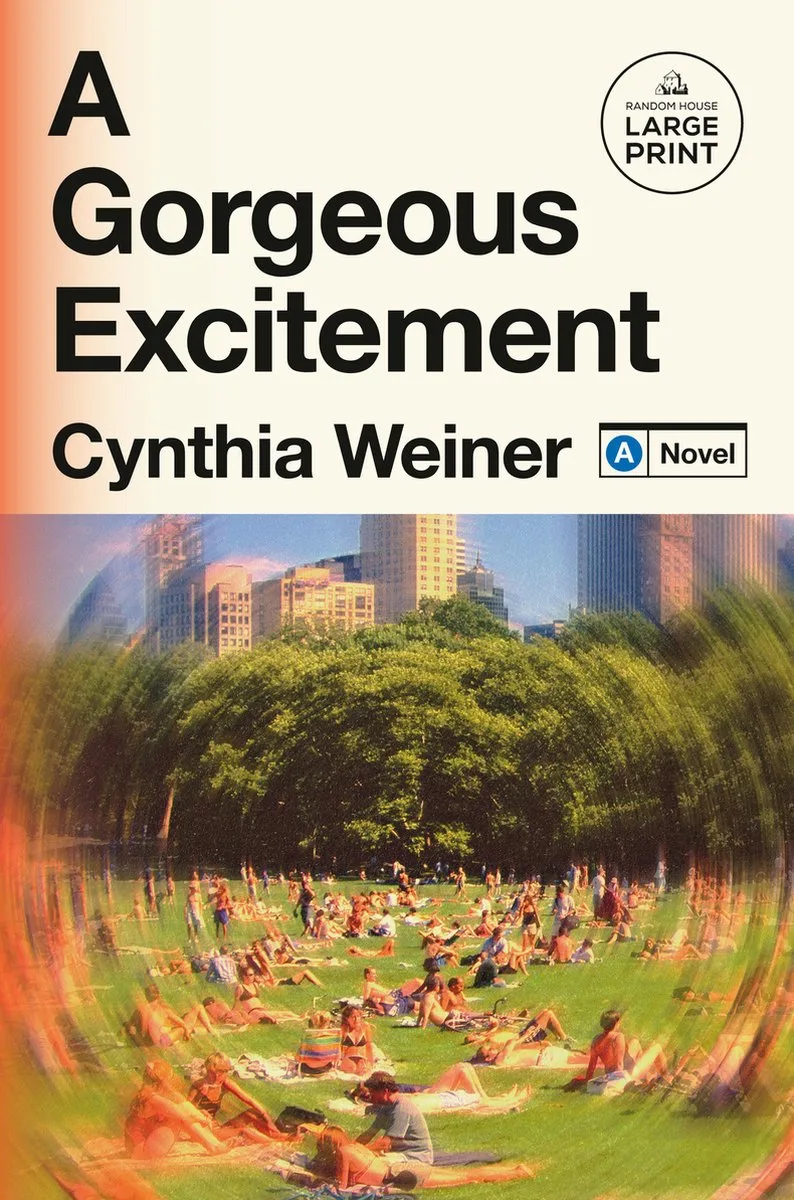 A Gorgeous Excitement von Random House – Buchfoto