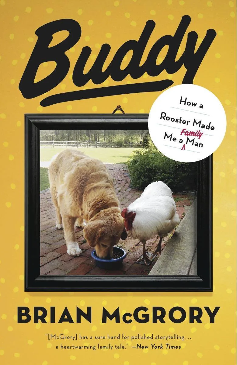 Buddy von Random House – Buchfoto