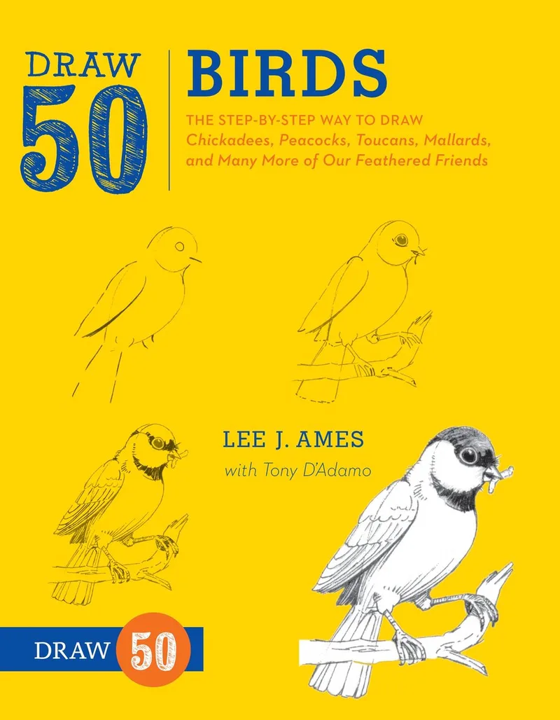 Draw 50 Birds von Random House – Buchfoto