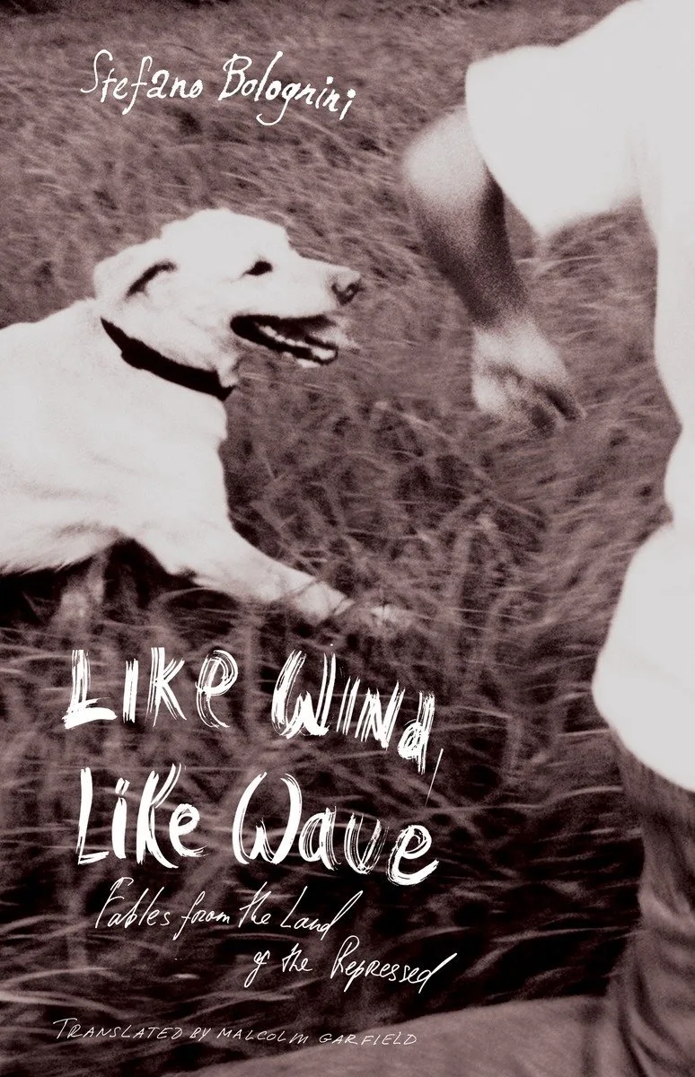 Like Wind, Like Wave von Random House – Buchfoto