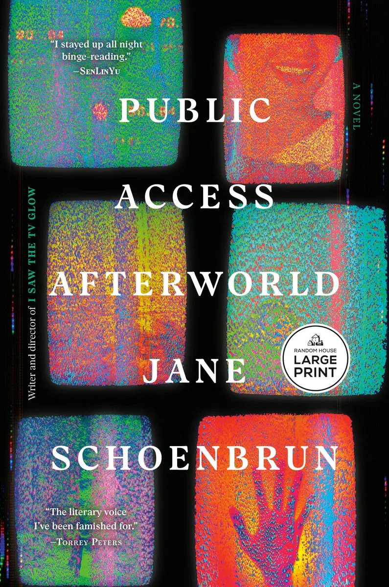 Public Access Afterworld von Random House – Buchfoto