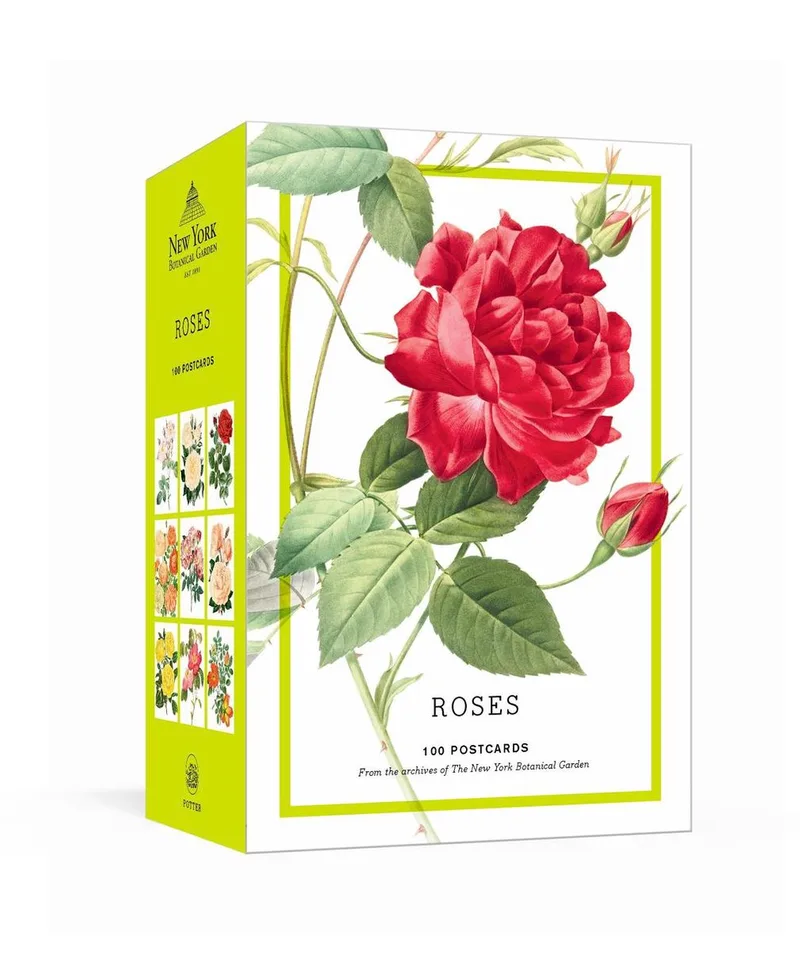 Roses fra Random House – billede af bogen