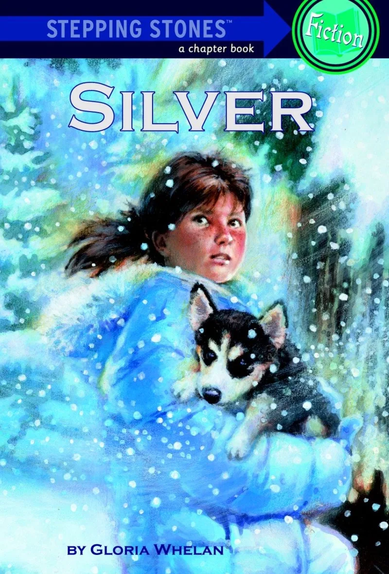 Silver von Random House – Buchfoto