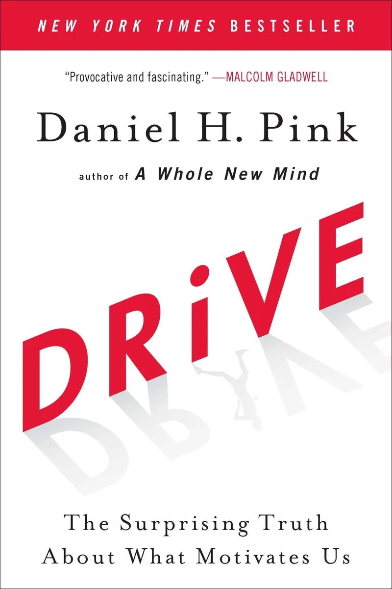 Drive de Riverhead Books – photo du livre