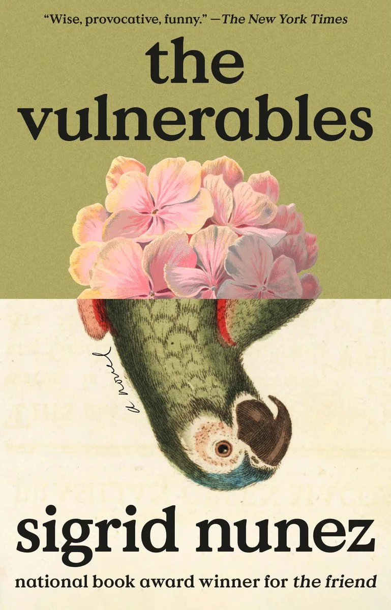 The Vulnerables von Riverhead Books – Buchfoto