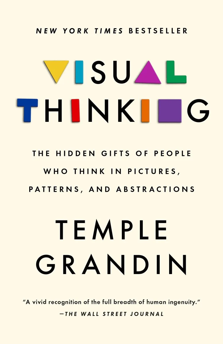 Visual Thinking von Riverhead Books – Buchfoto