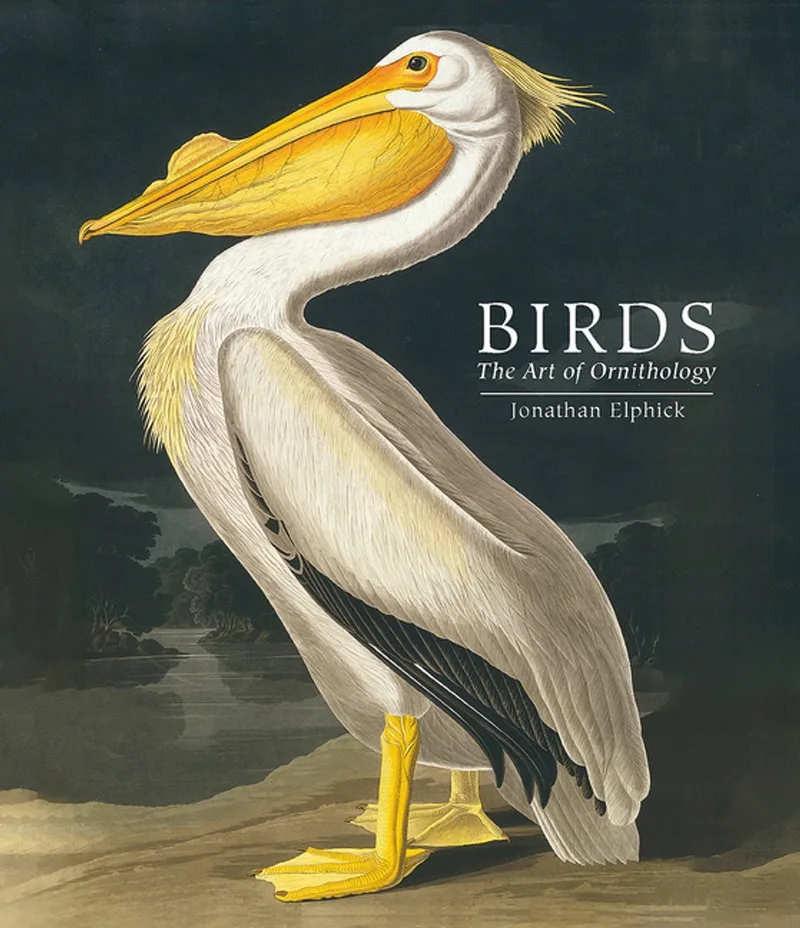 Birds fra Rizzoli – billede af bogen