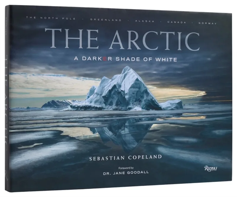 The Arctic fra Rizzoli – billede af bogen