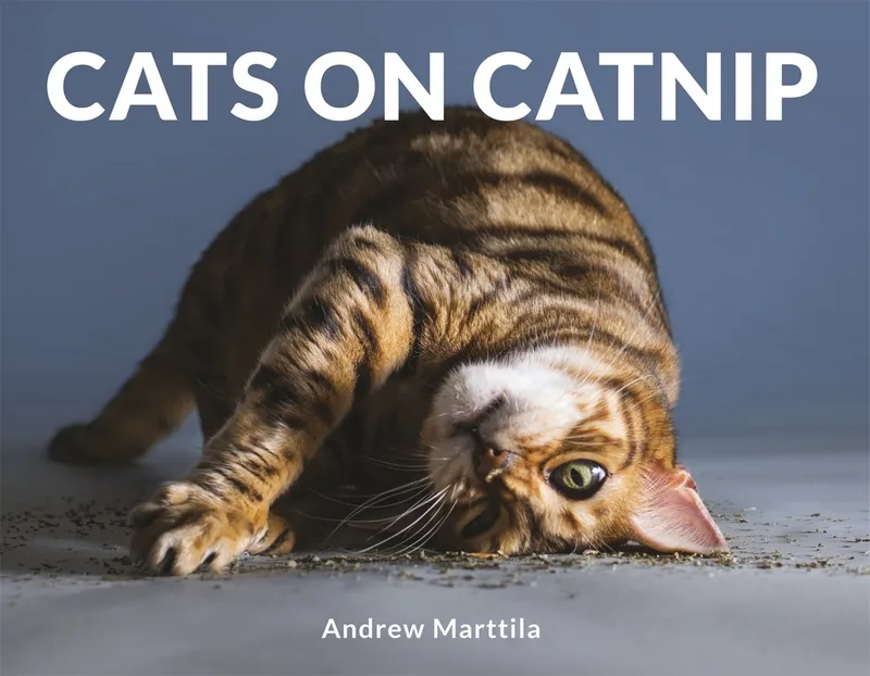 Cats on Catnip von Robinson – Buchfoto