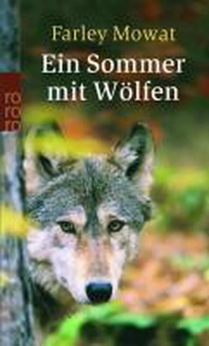Ein Sommer mit Wölfen van Rowohlt – boekfoto