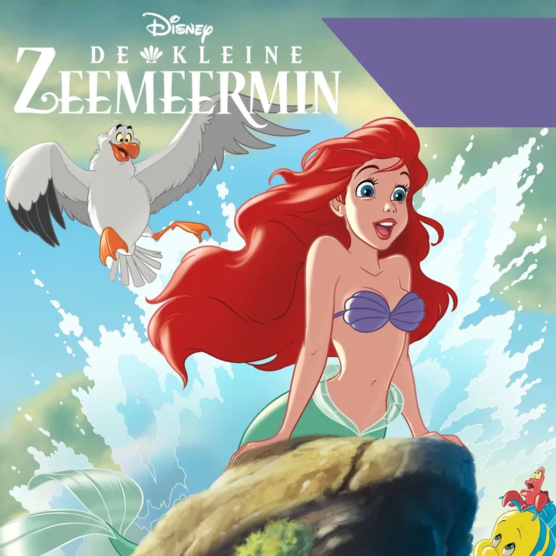 De kleine zeemeermin von Rubinstein – Buchfoto