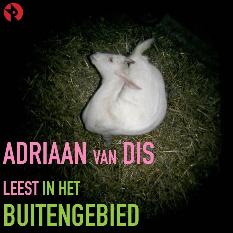 In het buitengebied de Rubinstein – photo du livre
