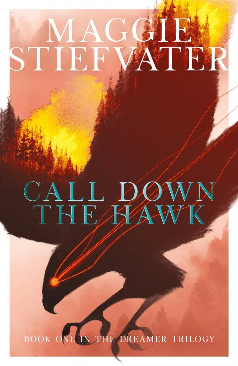 Call Down the Hawk van Scholastic – boekfoto