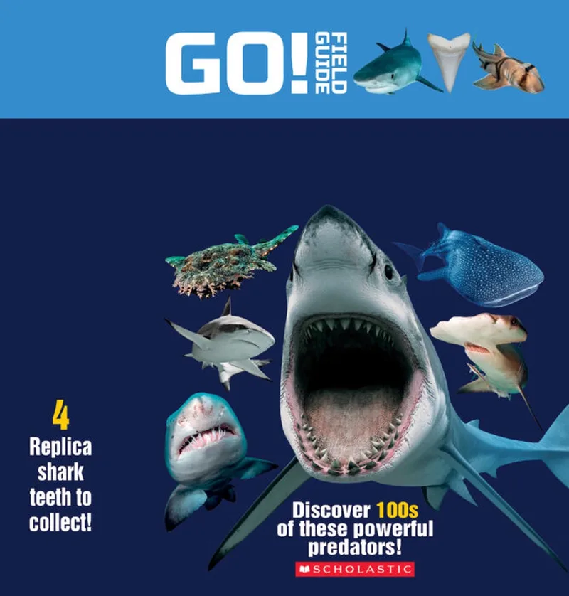 Go! Field Guide: Sharks von Scholastic – Buchfoto