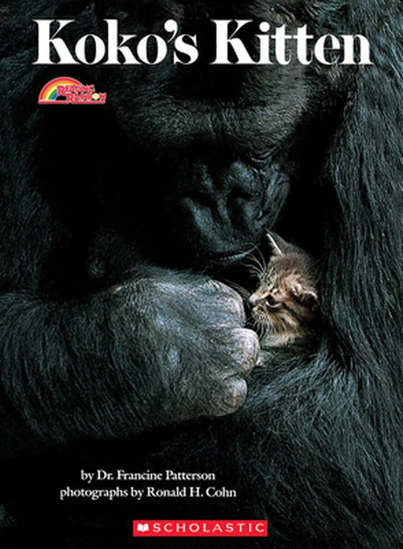 Koko's Kitten von Scholastic – Buchfoto