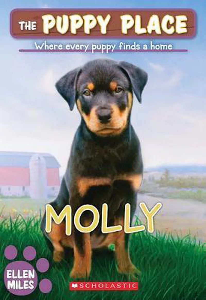Molly von Scholastic – Buchfoto