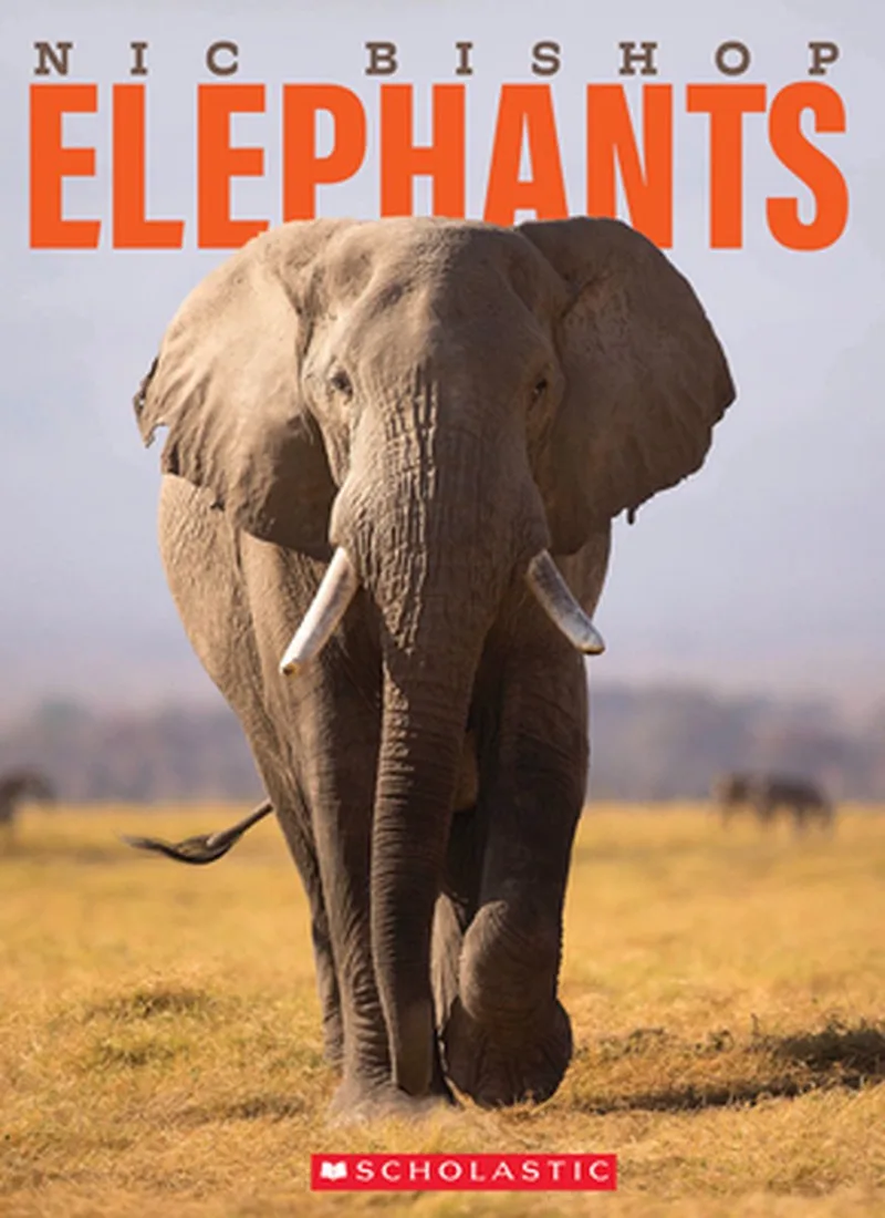 Nic Bishop Elephants von Scholastic – Buchfoto