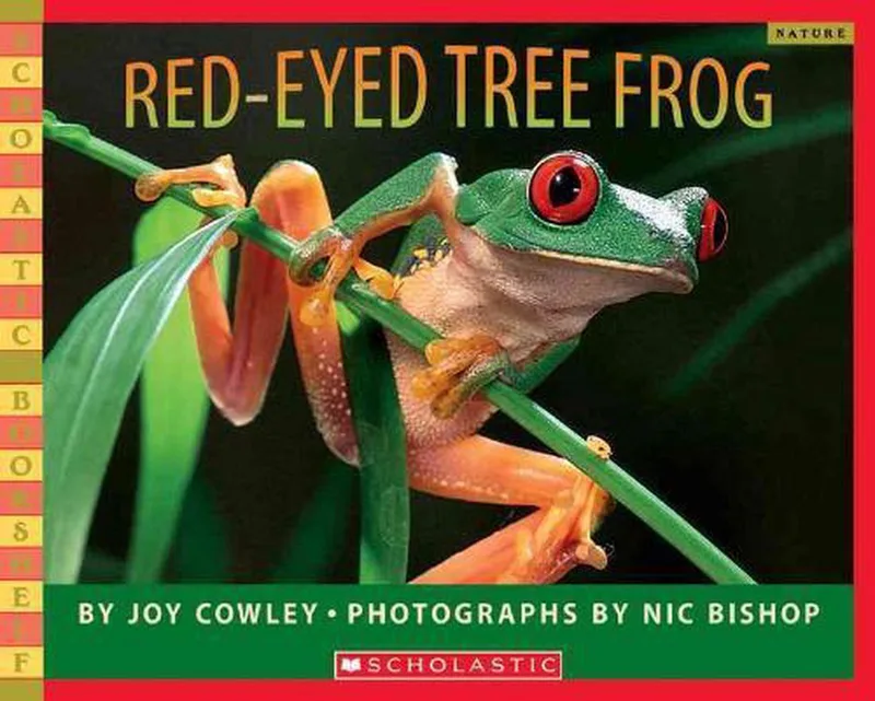 Red-Eyed Tree Frog fra Scholastic – billede af bogen