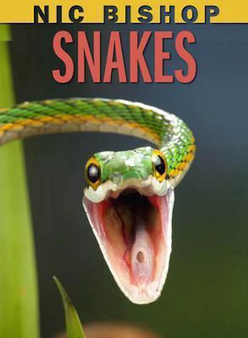 Snakes von Scholastic – Buchfoto