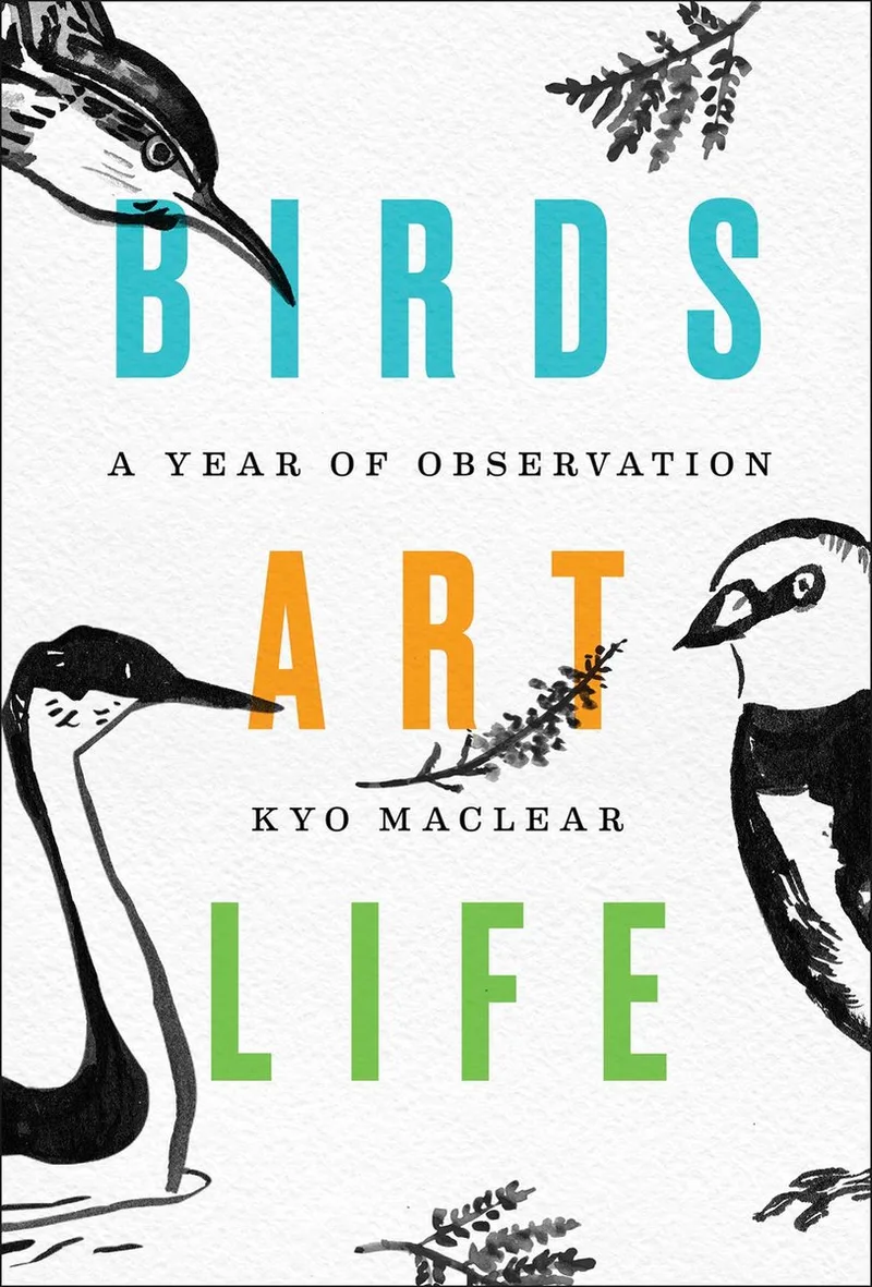 Birds Art Life von Scribner – Buchfoto