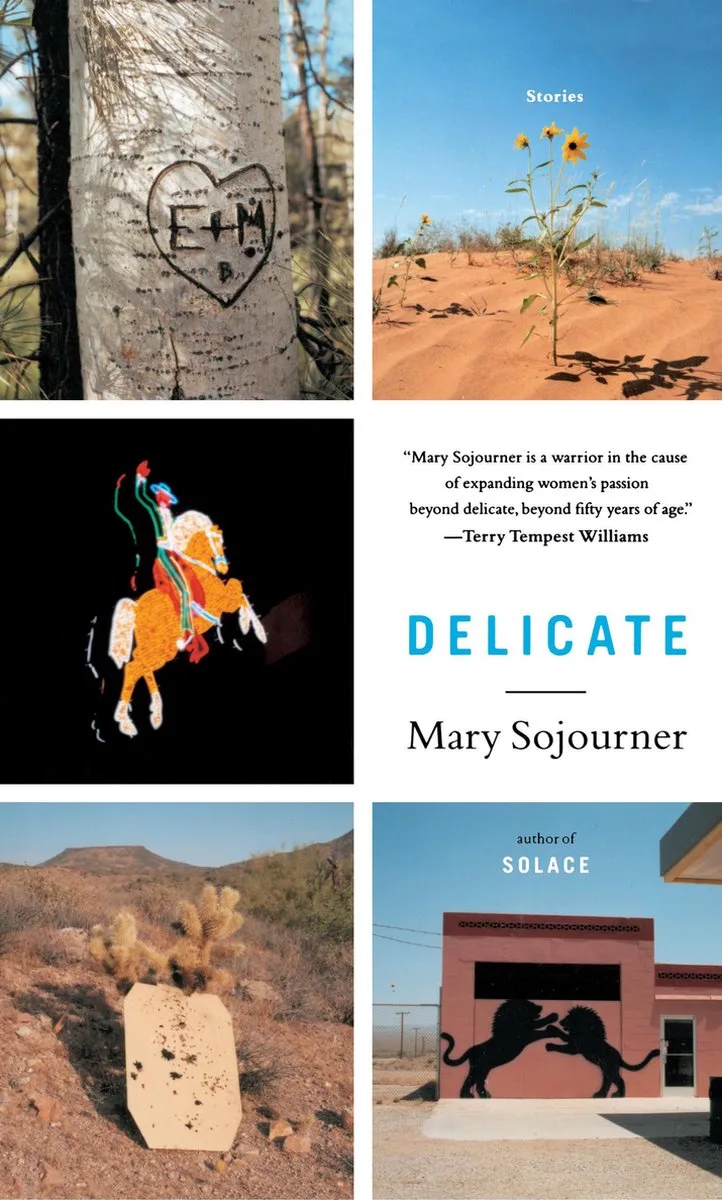 Delicate van Scribner – boekfoto