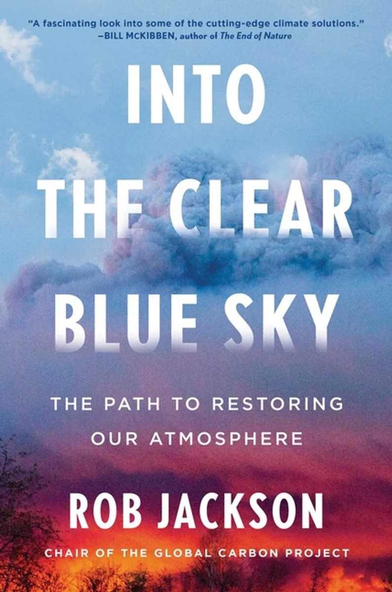 Into the Clear Blue Sky från Scribner – bokbild