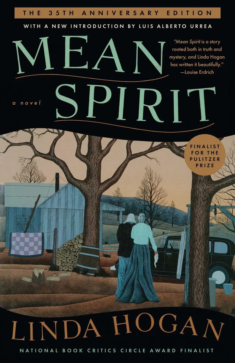 Mean Spirit by Scribner – book photo