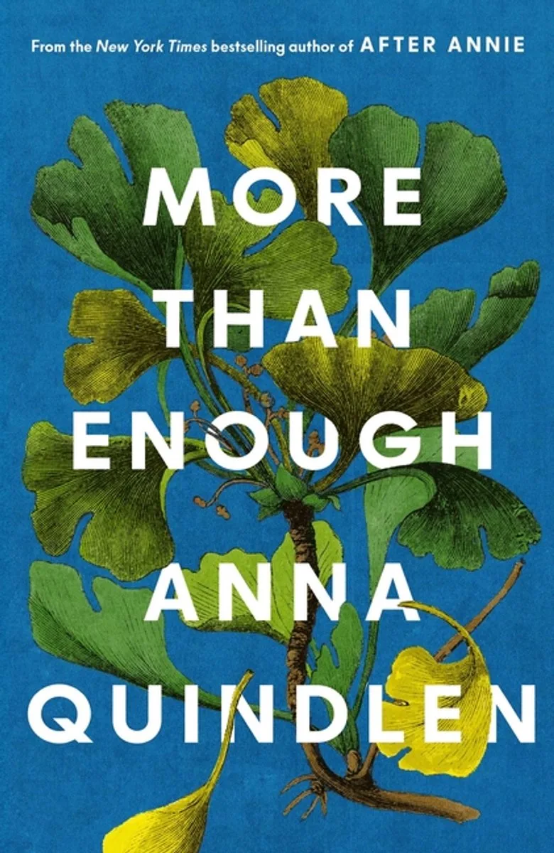 More Than Enough de Scribner – photo du livre