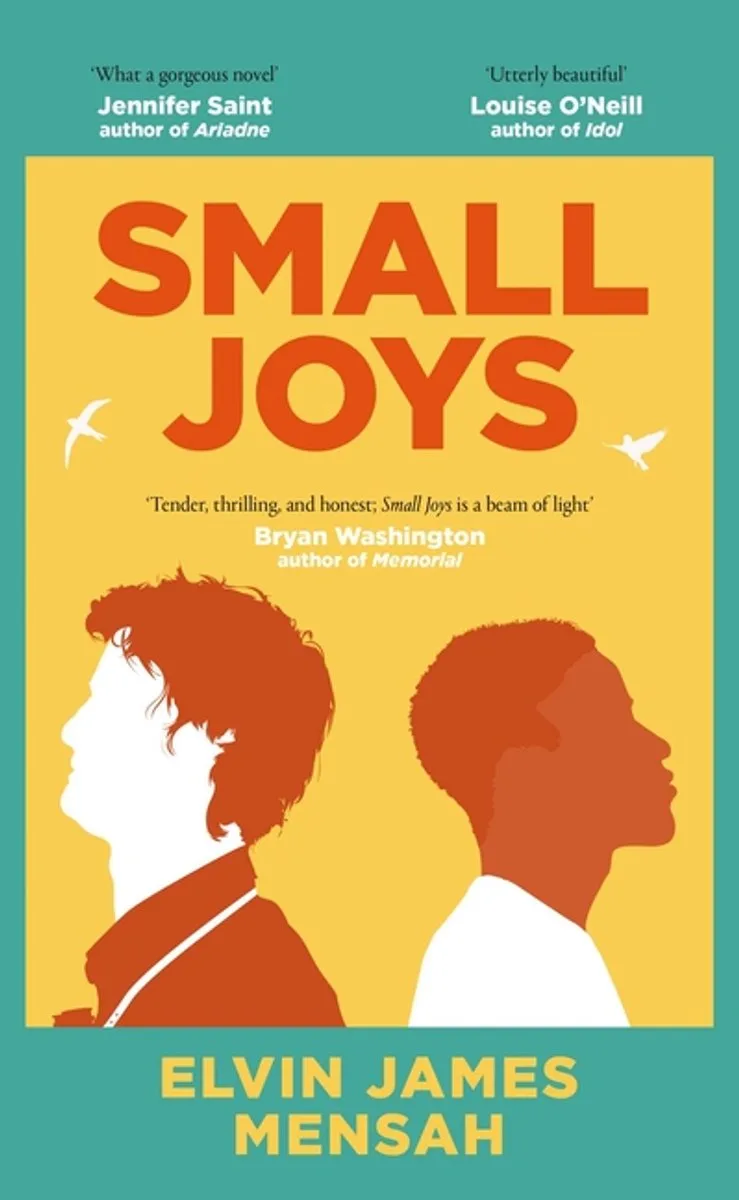 Small Joys van Scribner – boekfoto