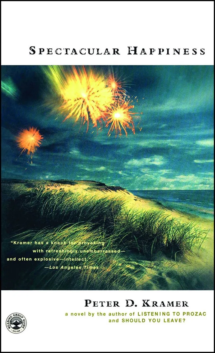 Spectacular Happiness von Scribner – Buchfoto