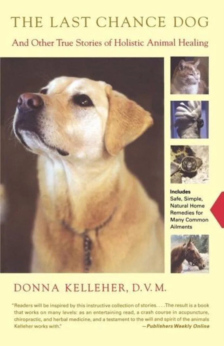 The Last Chance Dog de Scribner – photo du livre