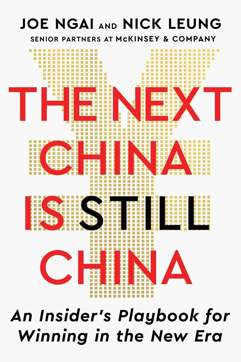 The Next China Is Still China de Scribner – photo du livre