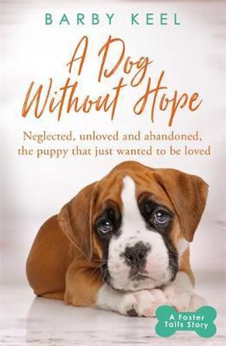 A Dog Without Hope von Seven Dials – Buchfoto
