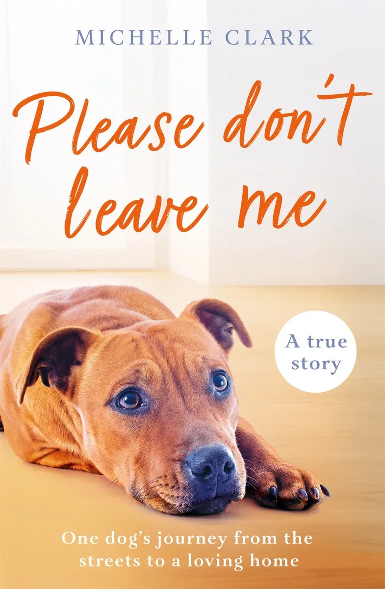 Please Don't Leave Me von Seven Dials – Buchfoto
