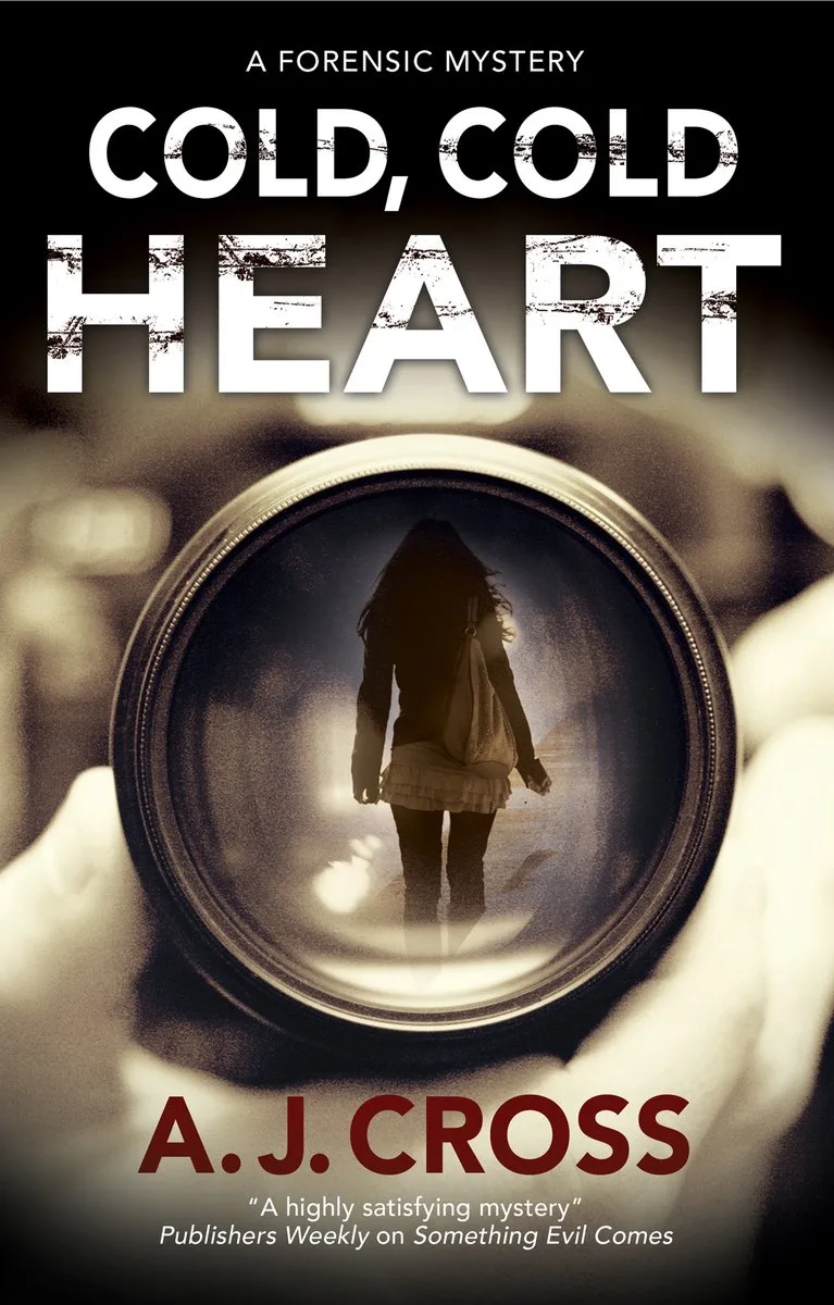 Cold, Cold Heart fra Severn House – billede af bogen