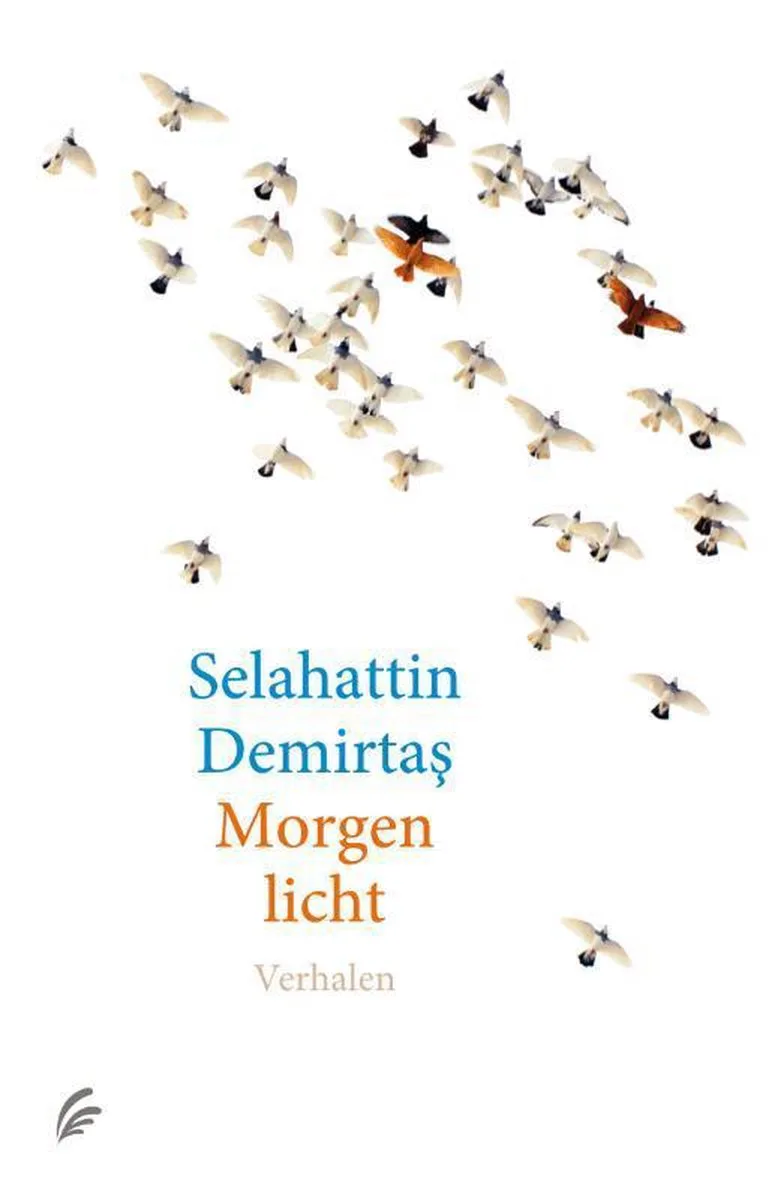 Morgenlicht von Signatuur – Buchfoto